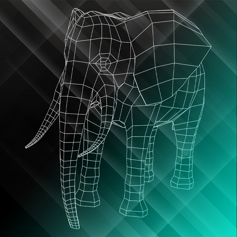 Elephant1