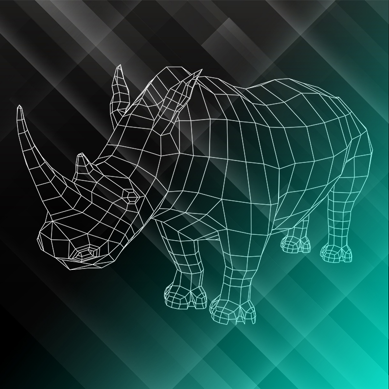 Rhino1