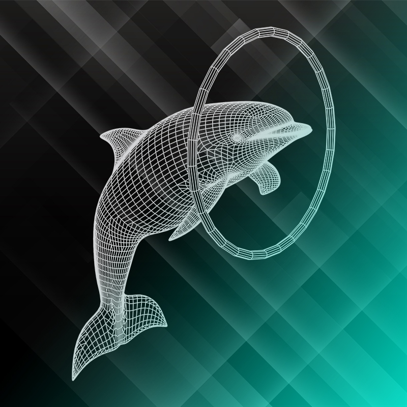 dolphinring