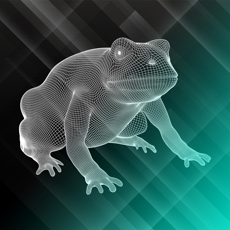 frog01