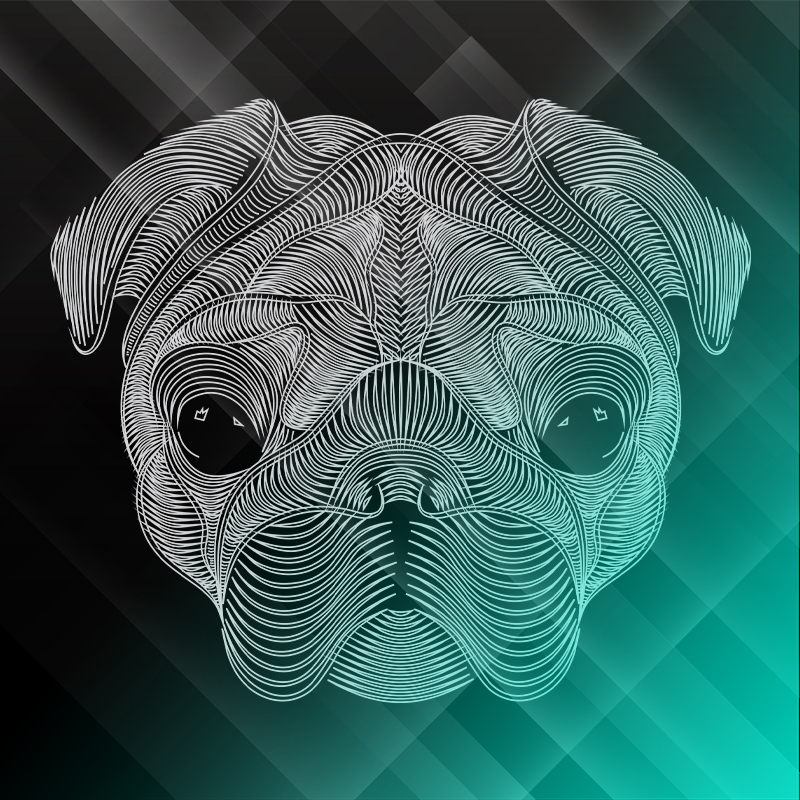 pug1